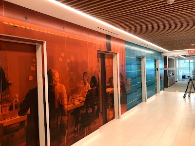 Wallpaper and Graphic Installations
