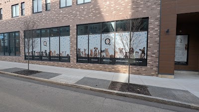 Crux Roadboardz Graphics