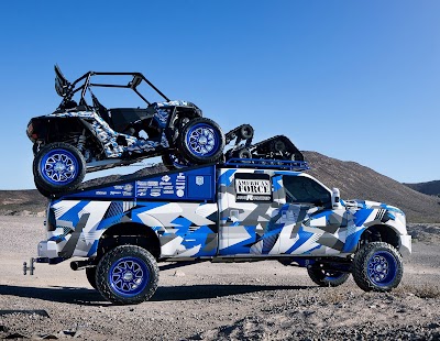 Impacted Wraps and Graphics