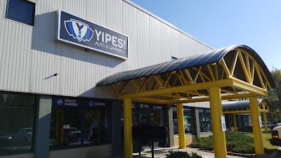 Yipes! Auto & Graphics