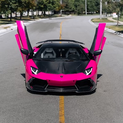 Wraptors Ftl | Car Wraps | PPF | Tint