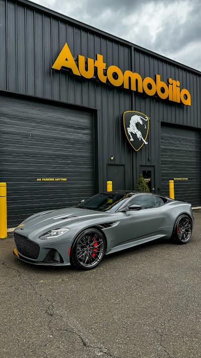 Automobilia | Window Tint | Paint Protection Film (ppf) | Ceramic Coatings and More...