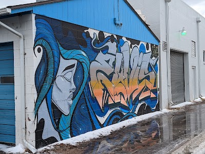 Precision Graphics Inc