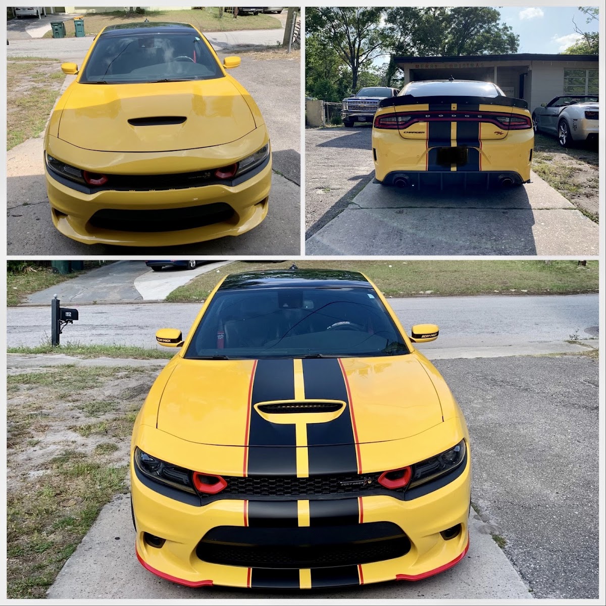 Work by Grafflo Designs