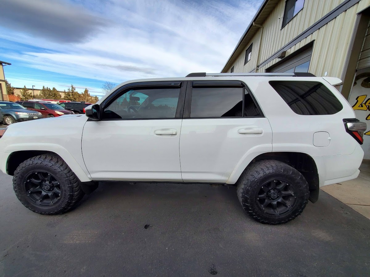 Work by Royal Tint N Dip