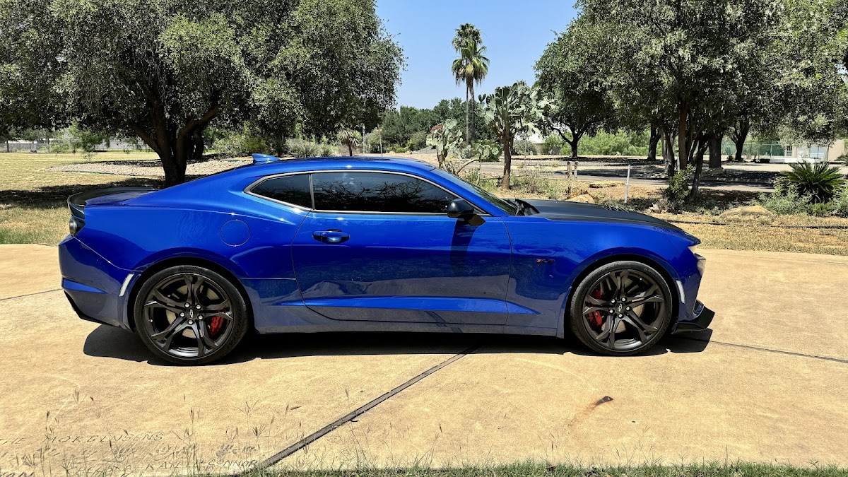 Work by Moon Doggy Auto Salon