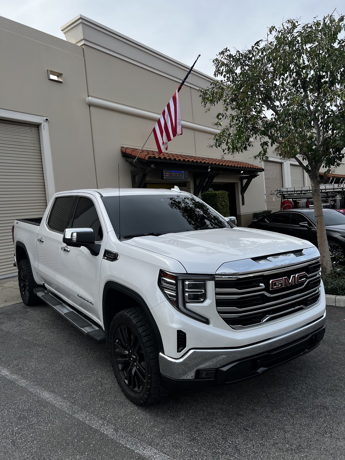 Cris the Tint Master workshop