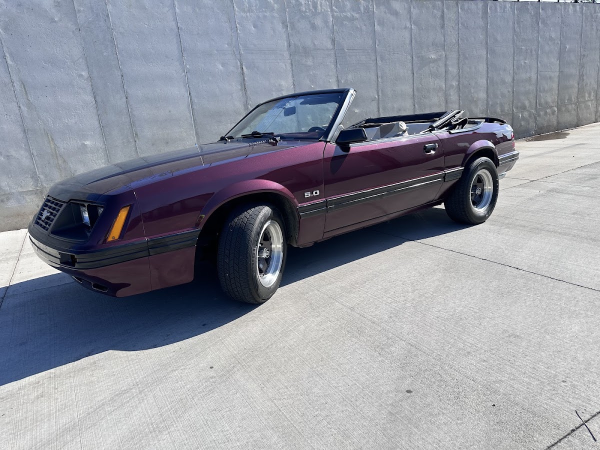 Cst Detailing and Wraps workshop