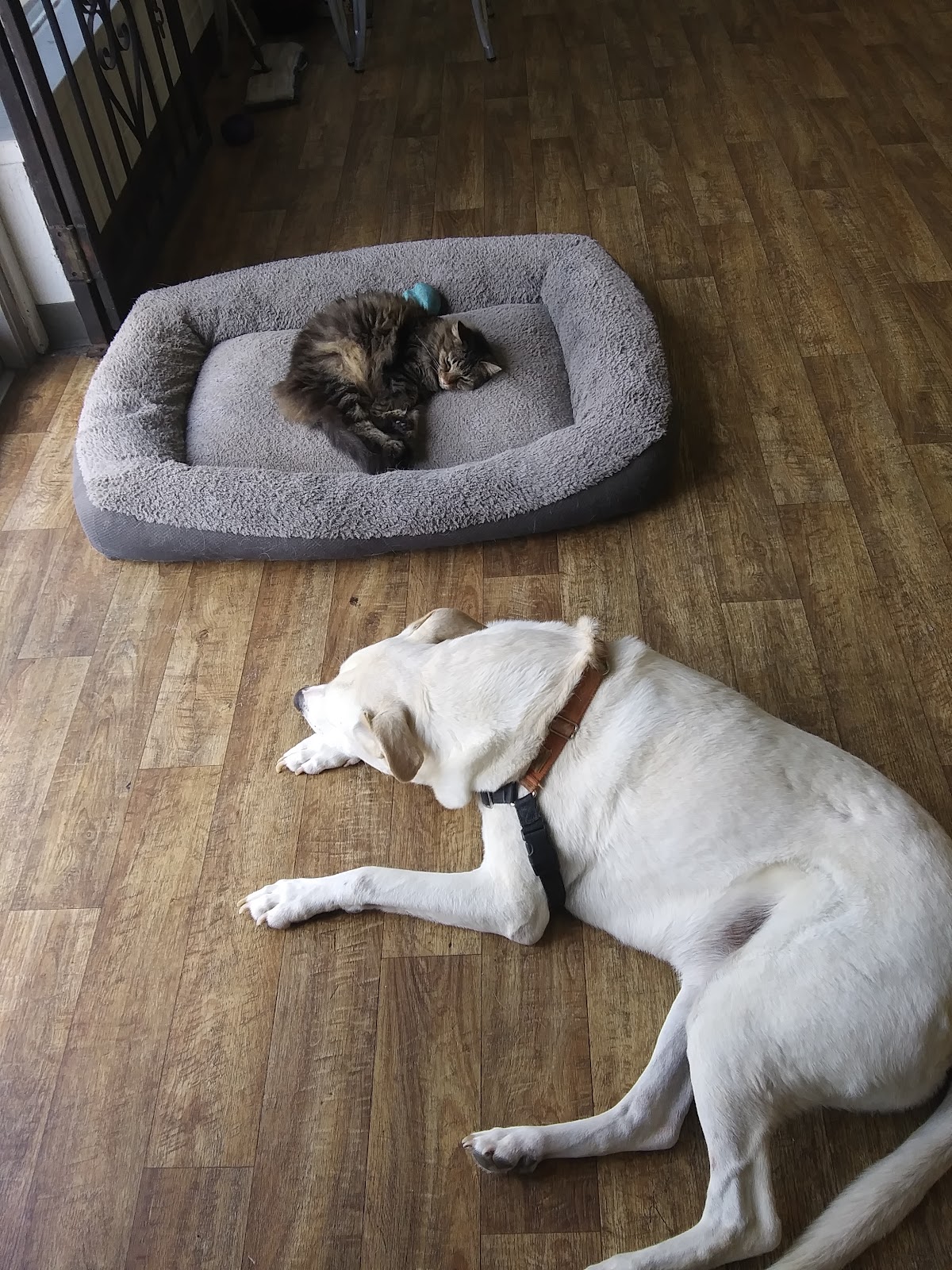 Vinyl Cutter Sign Supply workshop