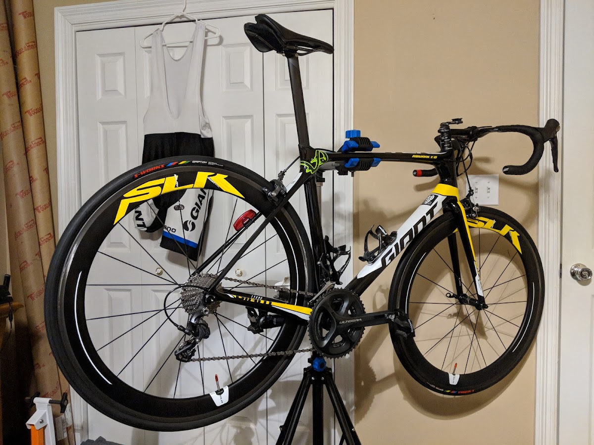 Signs First workshop