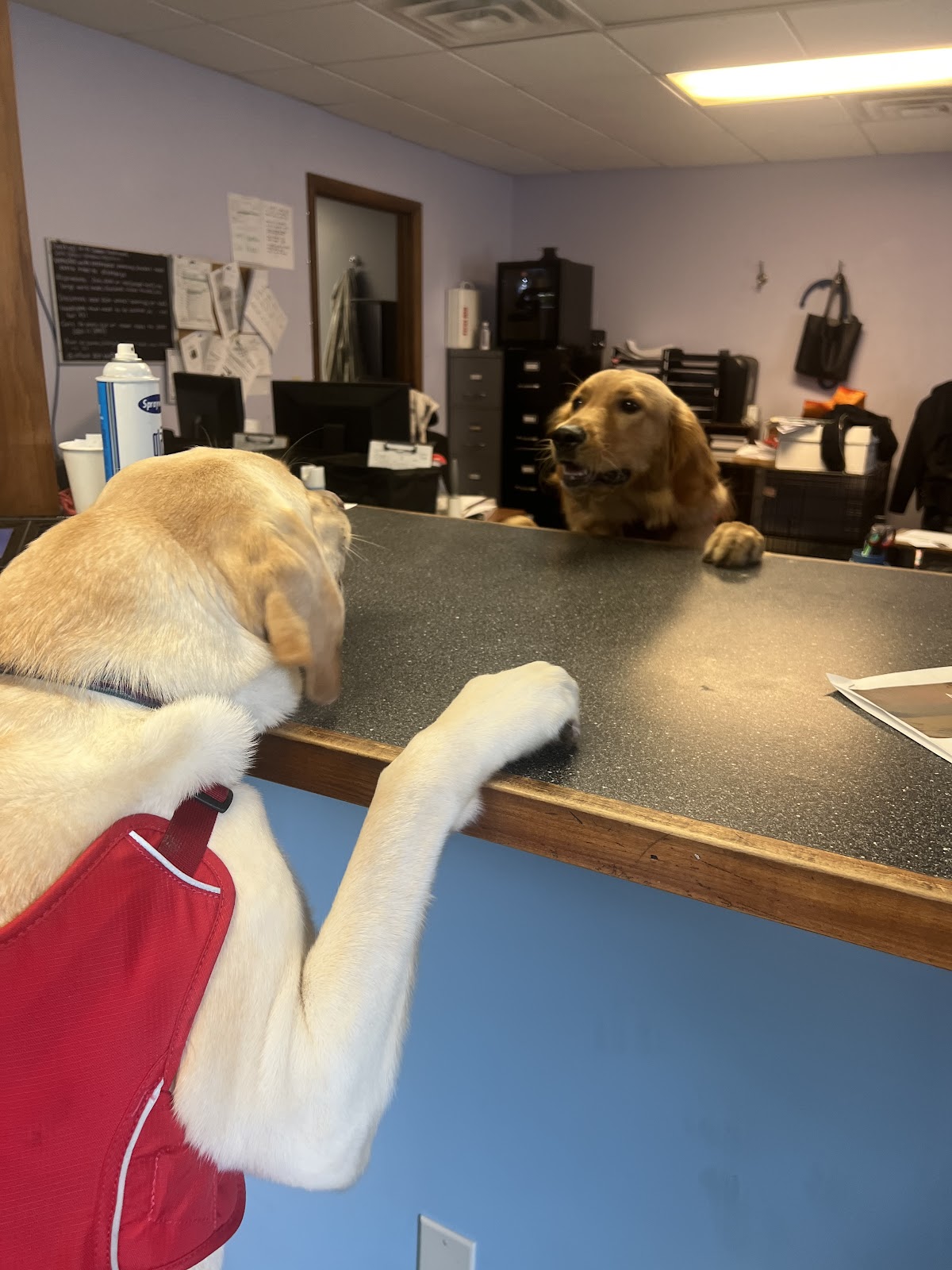 Twisted Wrench workshop