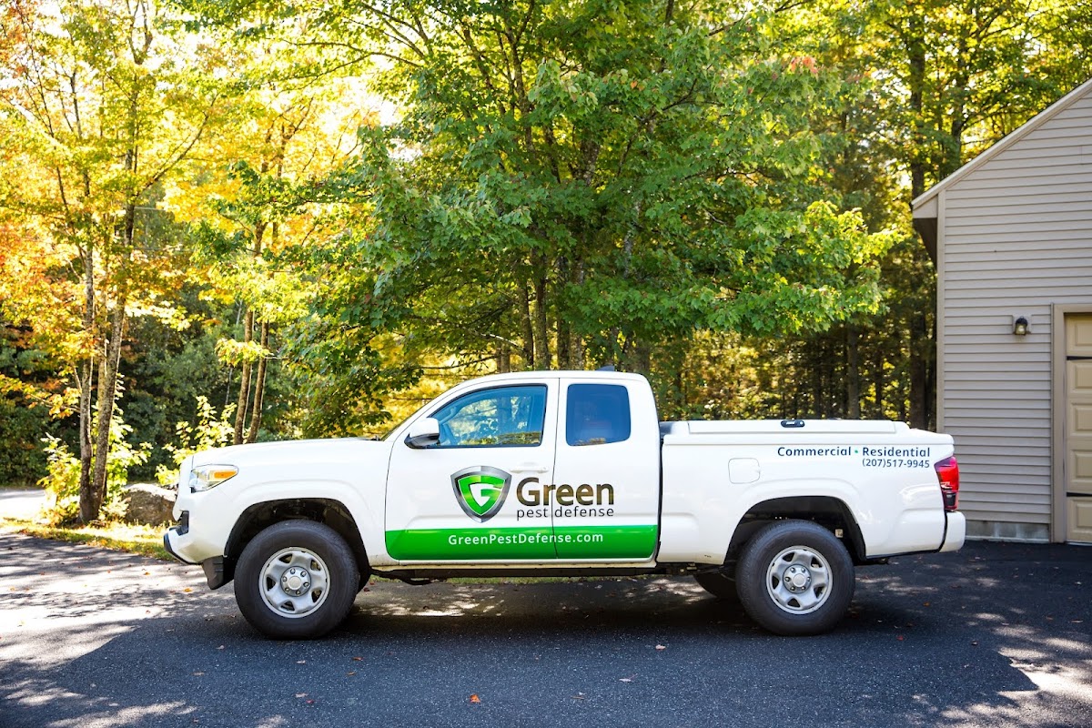 Work by Mad Monkey Media