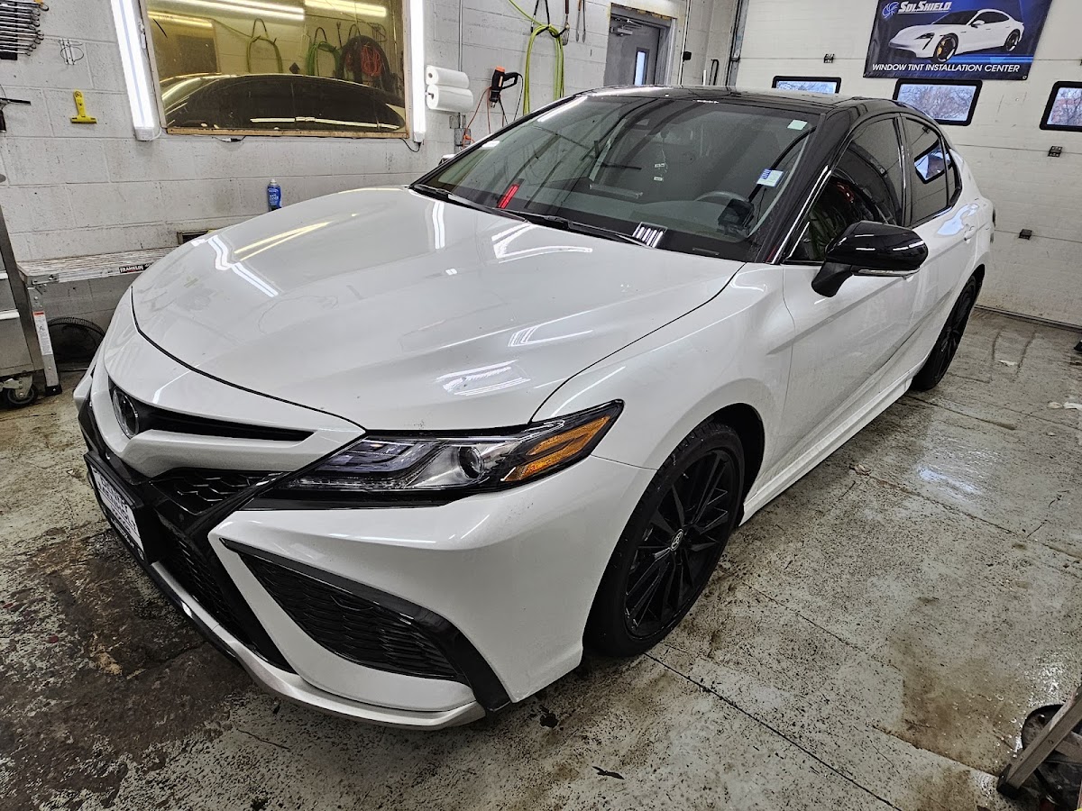 Black Dog Tinting workshop