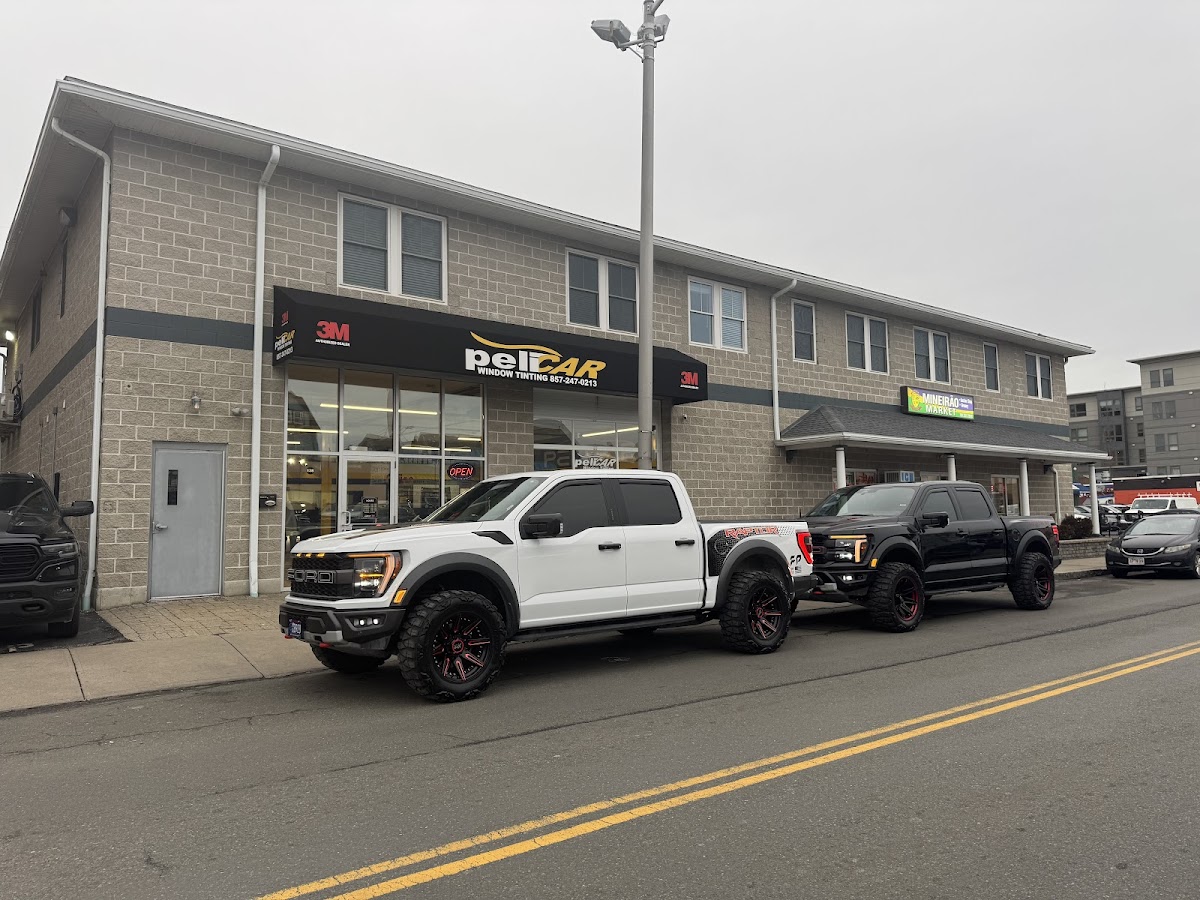 Pelicar Professional Tinting, PPF and Wrap workshop