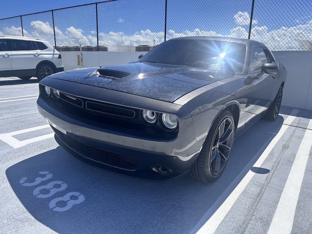 Work by Wrap It Up Miami