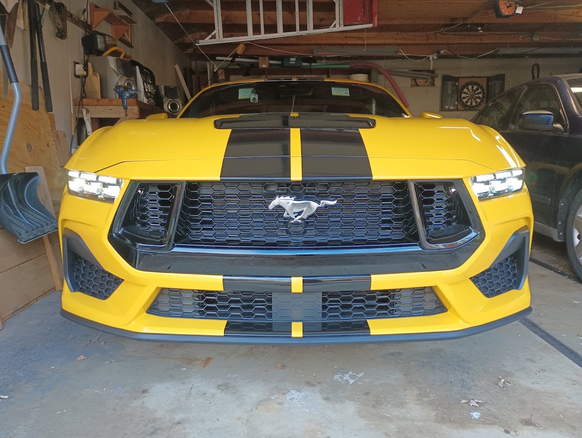 Yipes Stripes workshop