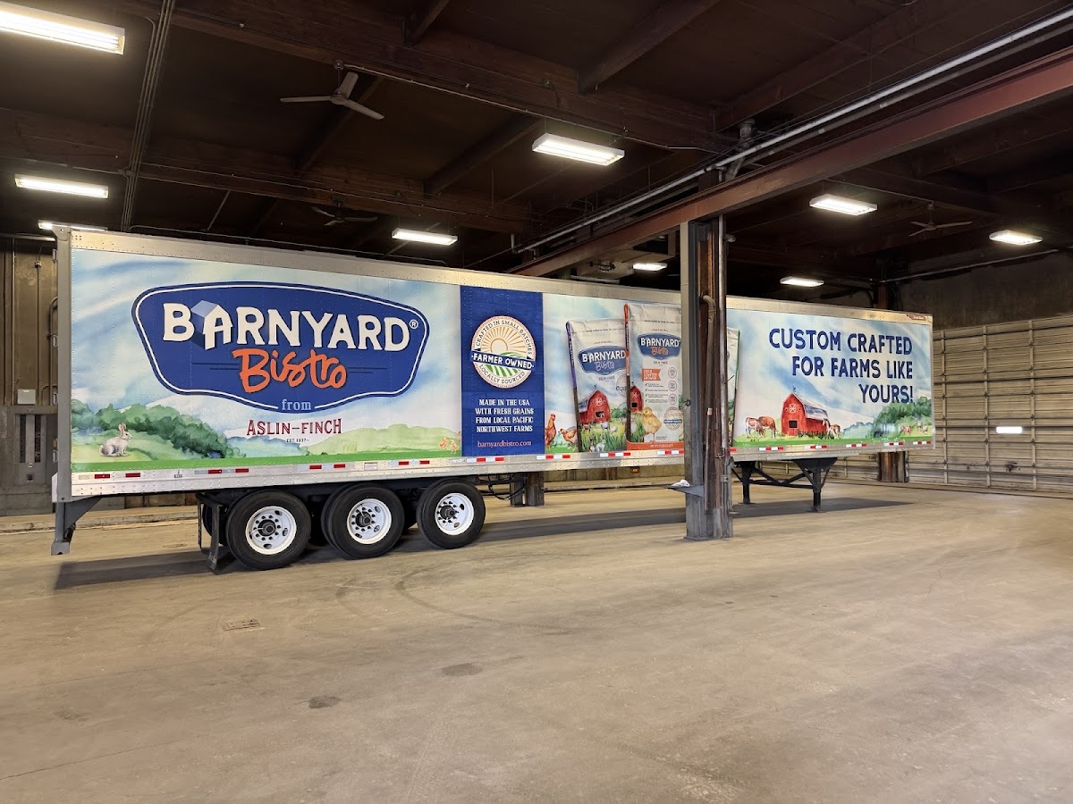 Designer Decal workshop