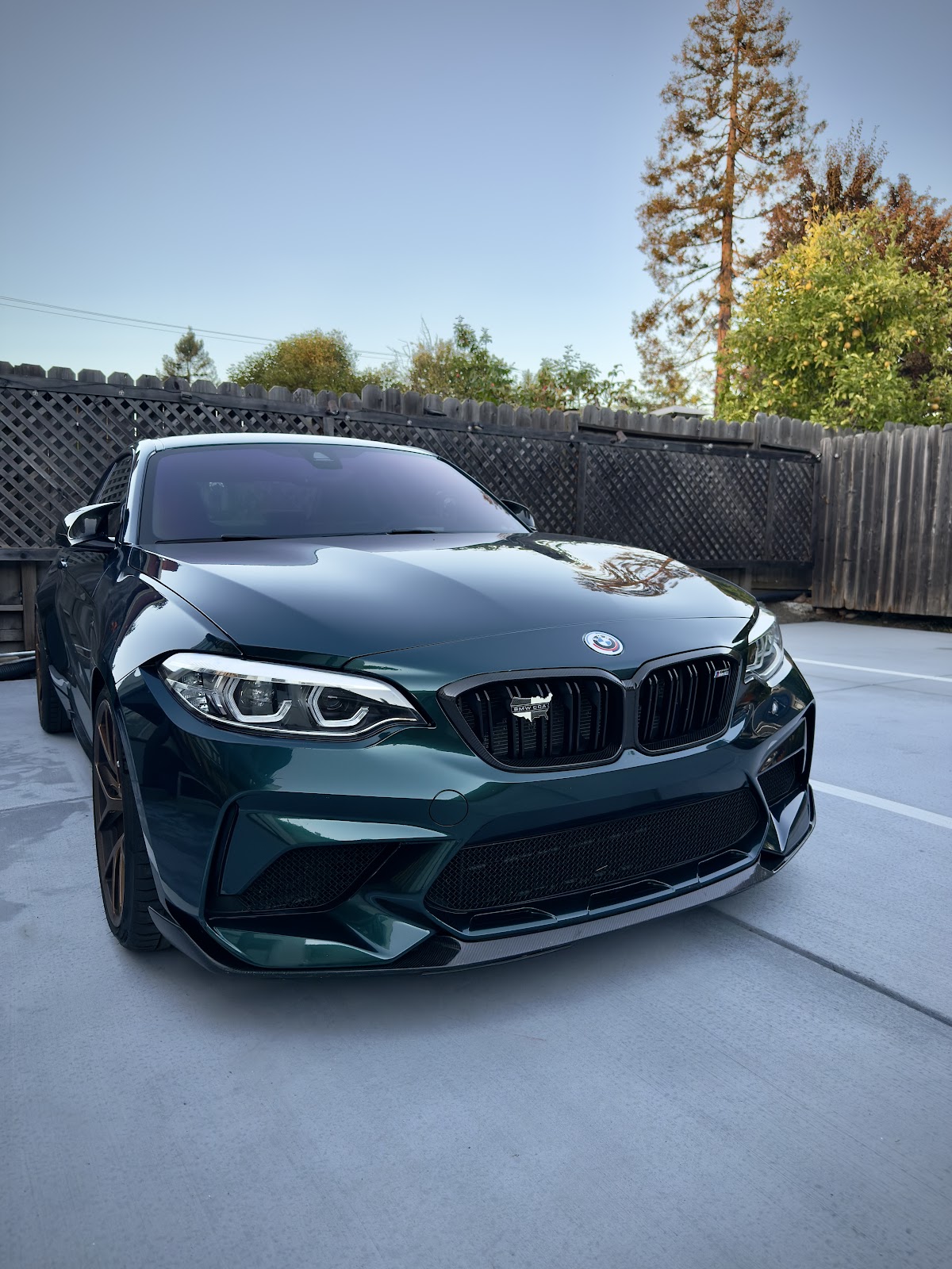 Elite Window Tint & Vinyl Wraps - Paint Protection Film & Ceramic Coatings workshop