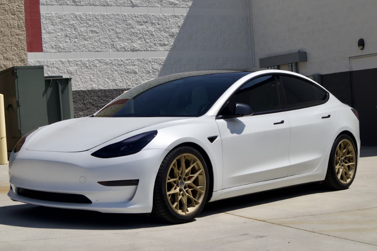 Work by Logicc Protection Studio