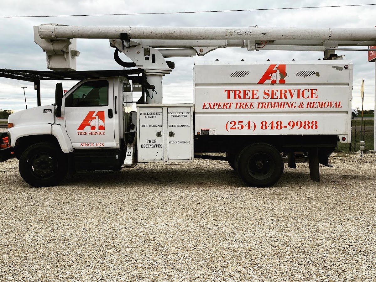 Grafix Gorilla workshop