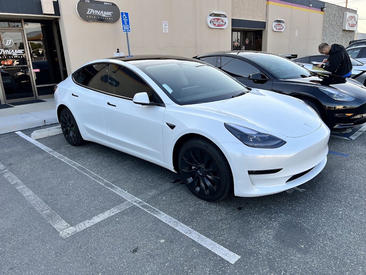 Dynamic Tint Solutions workshop