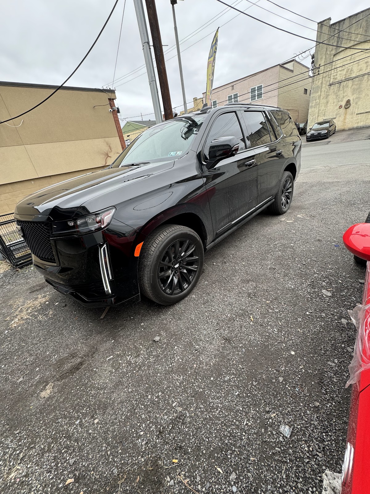 My Platinum Tints workshop