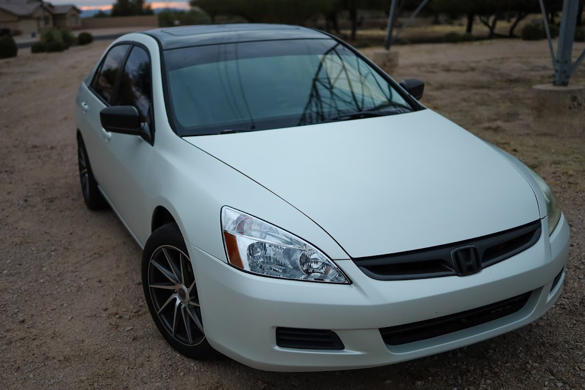 Elusive Wrap and Tint Co workshop