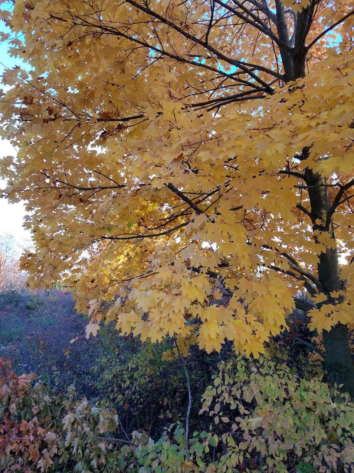 Michigan Graphics & Signs workshop