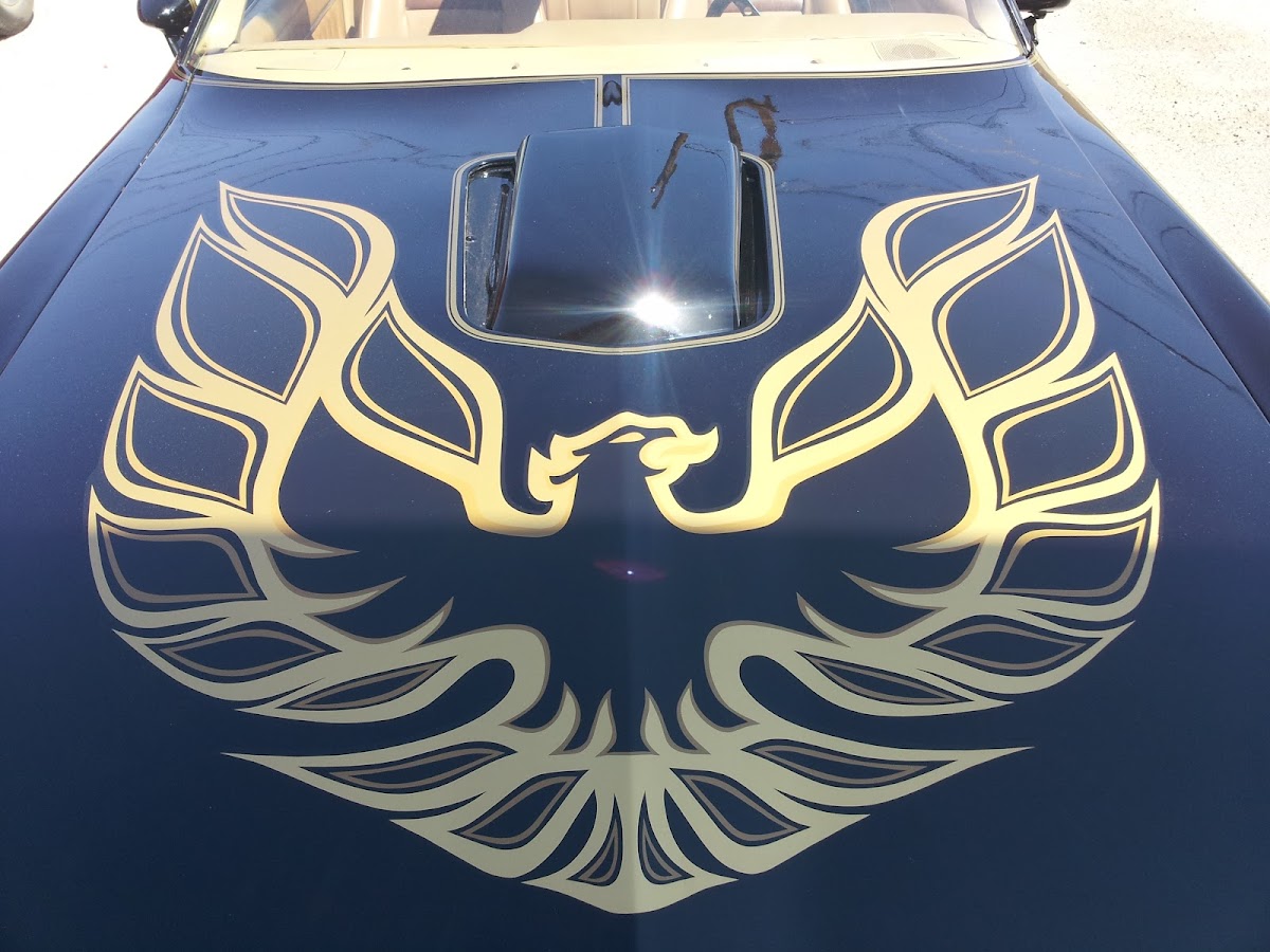 Smith Signs & Graphics workshop