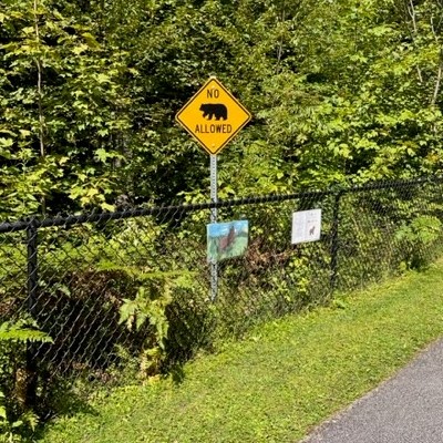 Always on Time Signs & Design workshop