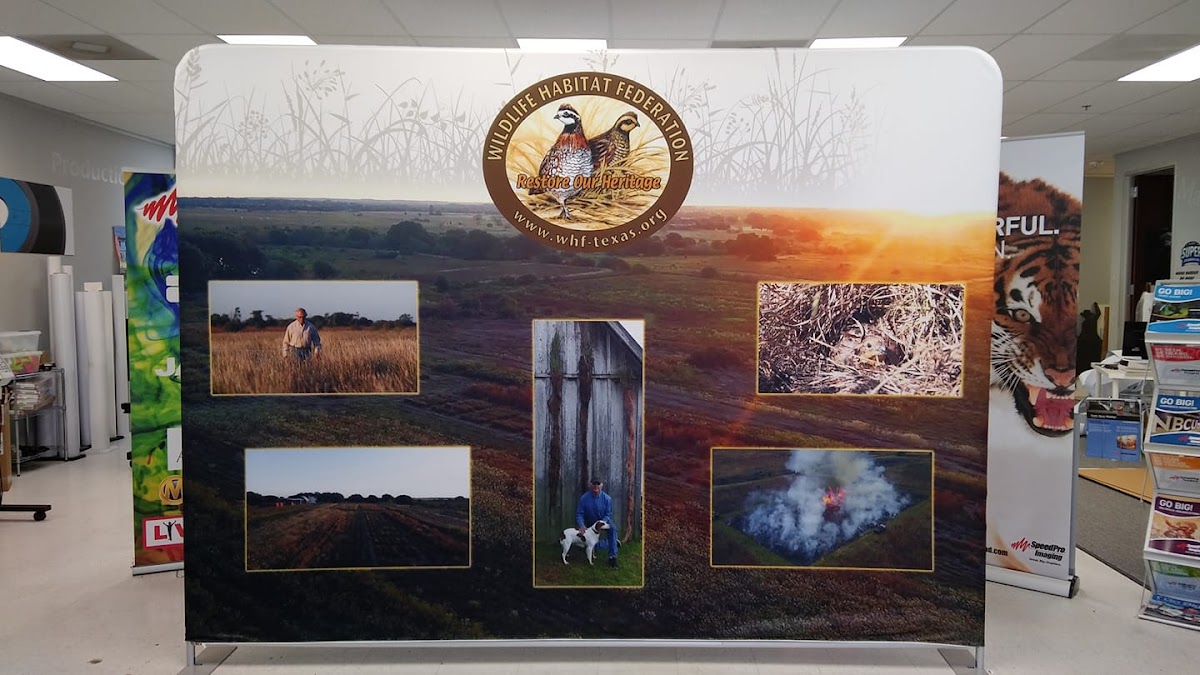 Speedpro Sugar Land workshop