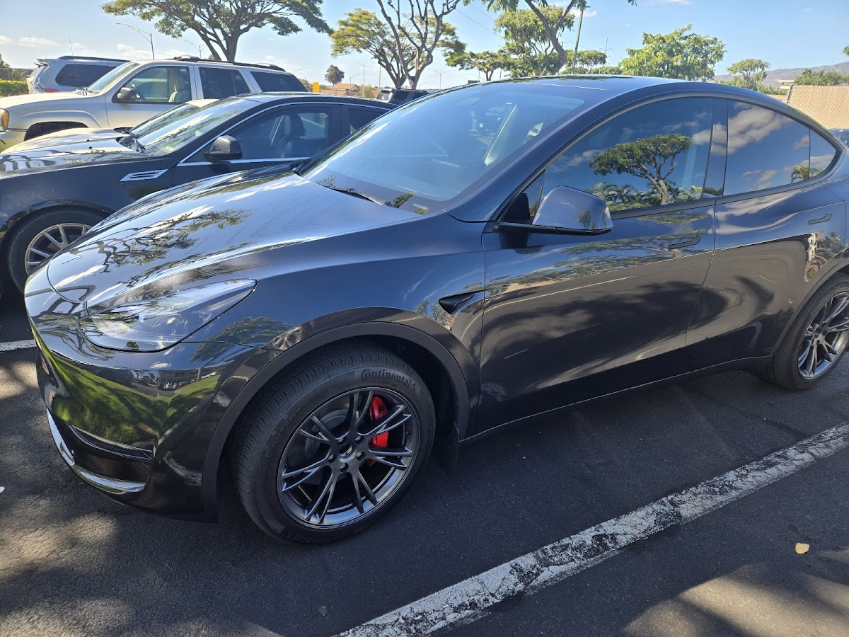 Standard Paint Protection workshop