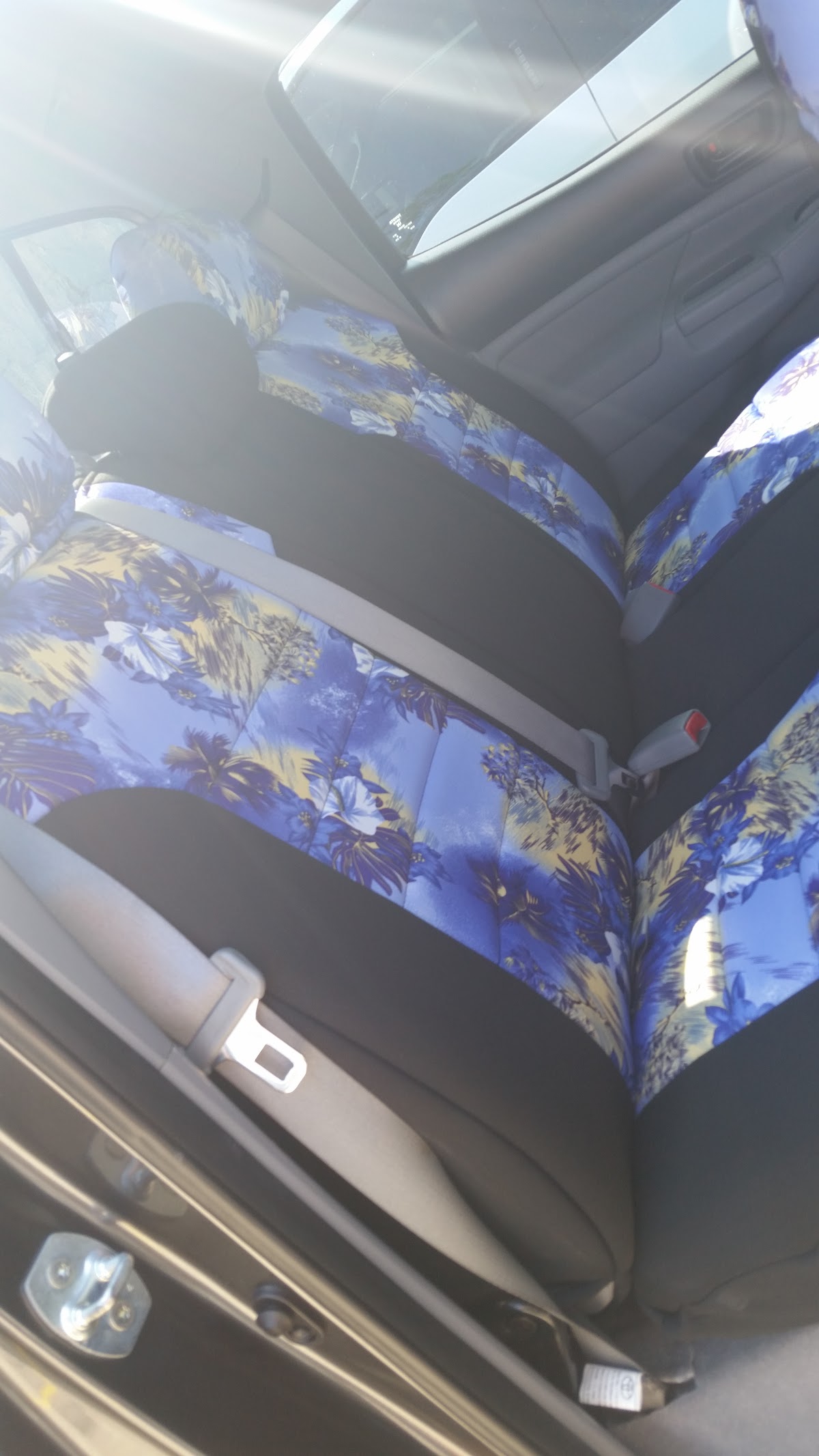 Work by C-thru Window Tinting