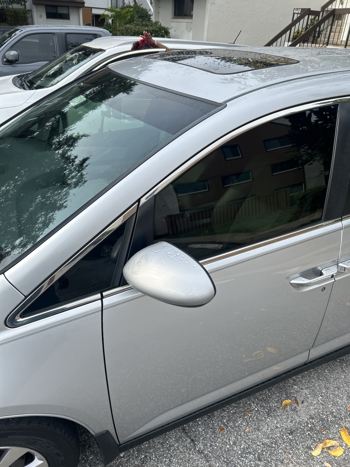 Winter Park Tint & Paint Protection workshop