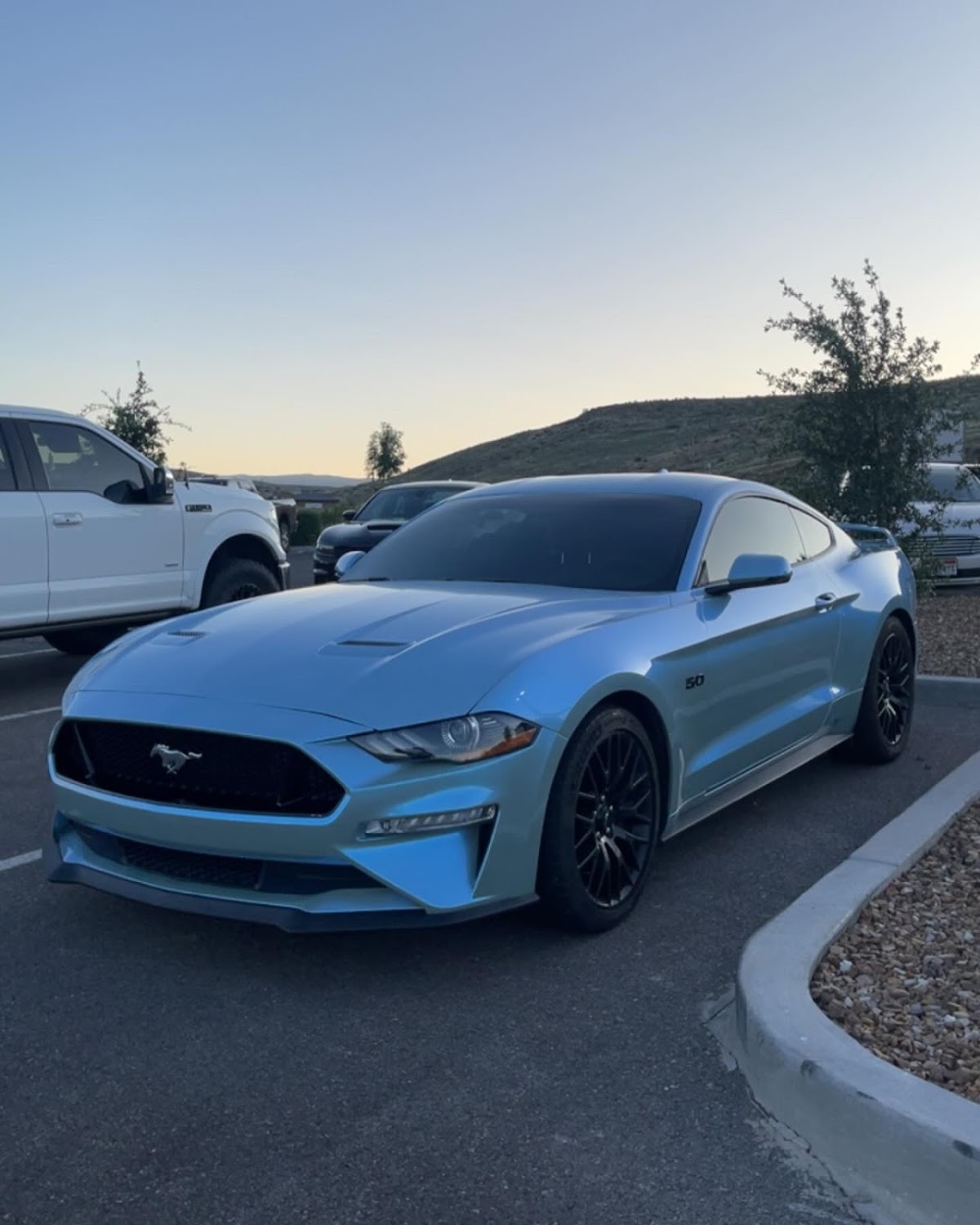 Exclusive Wraps & Tint workshop