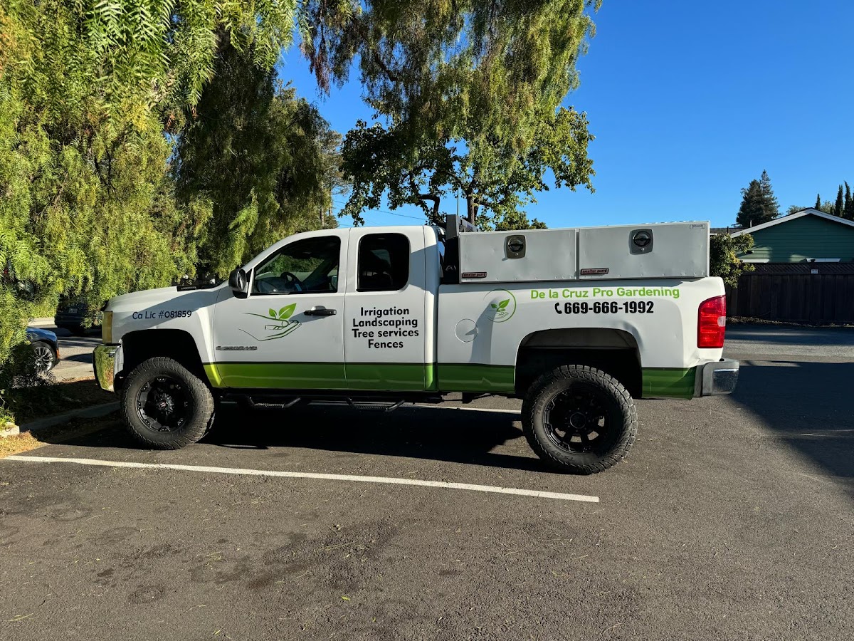 PPF and Car Wraps - Ag Customs workshop