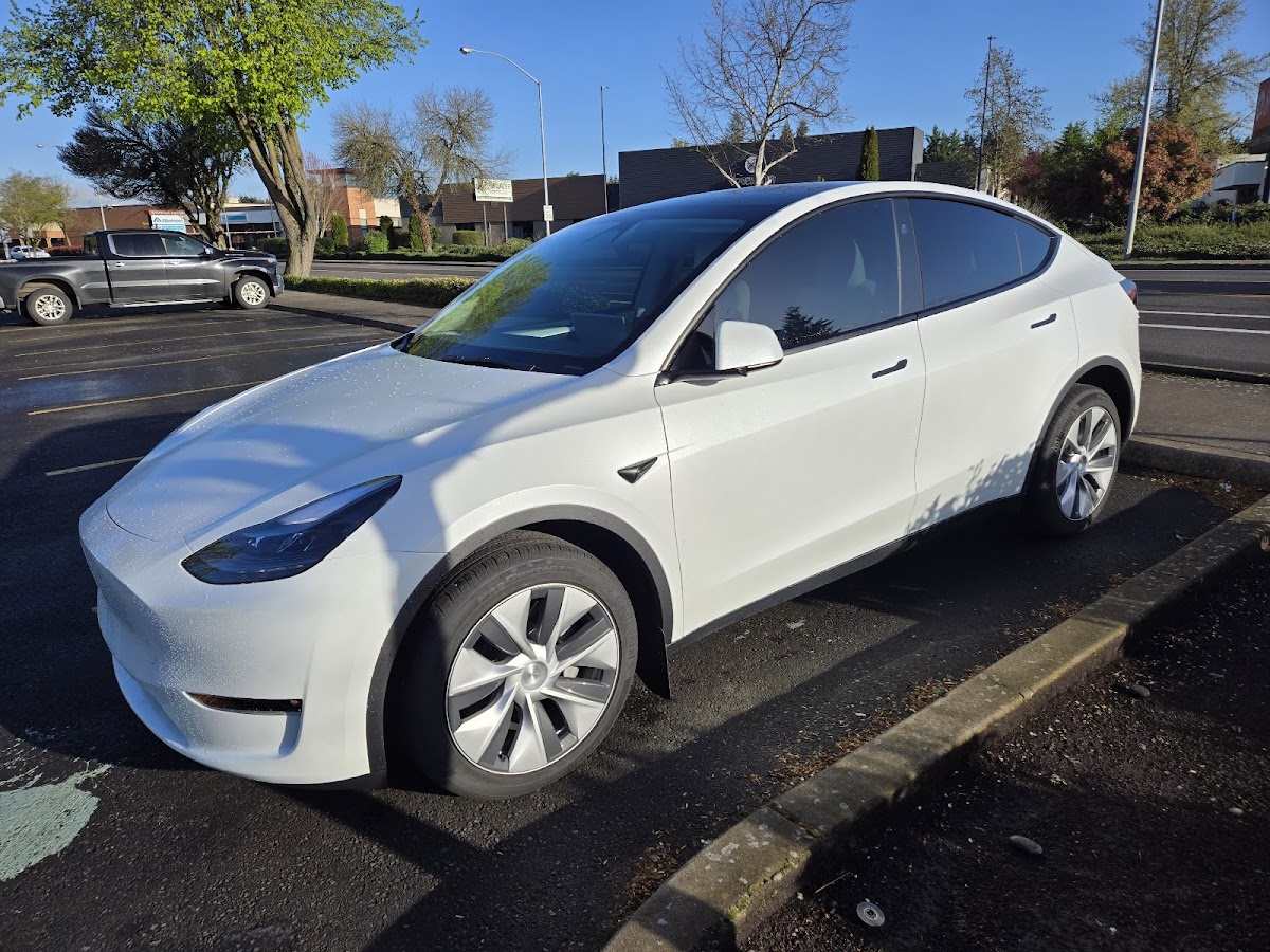 Minty Tint, Paint Protection Film, and Ceramic Coating workshop