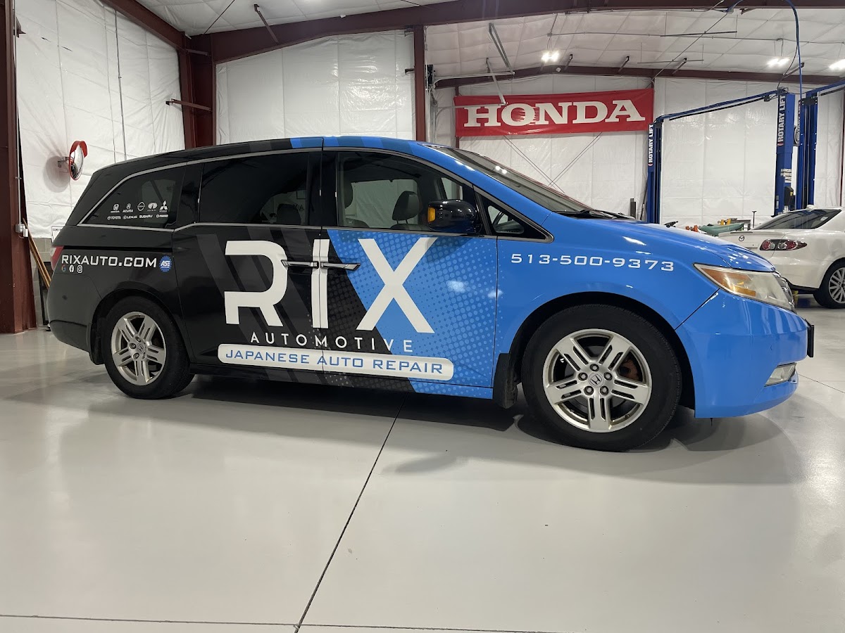 Vivid Wraps workshop