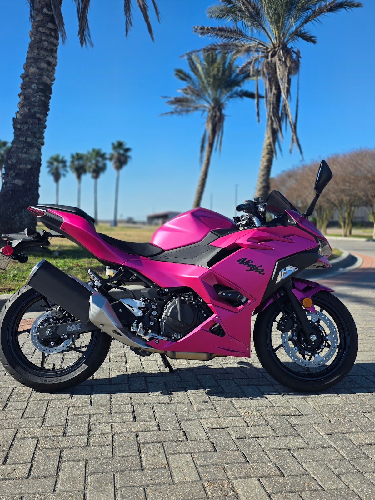 Royal Wraps & Graphics workshop