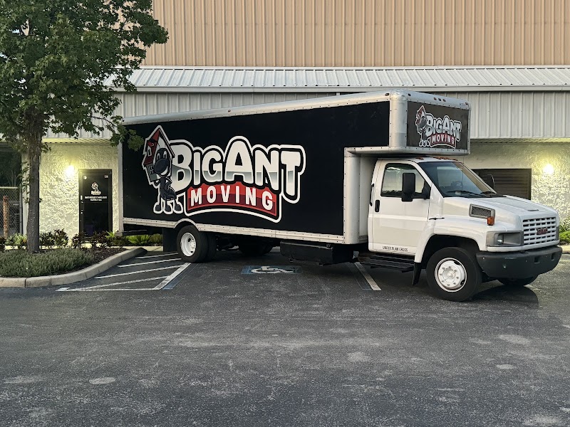 Vehicle wrap by Tampa Auto Wraps