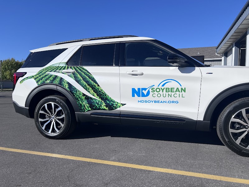 Full Color Change Work