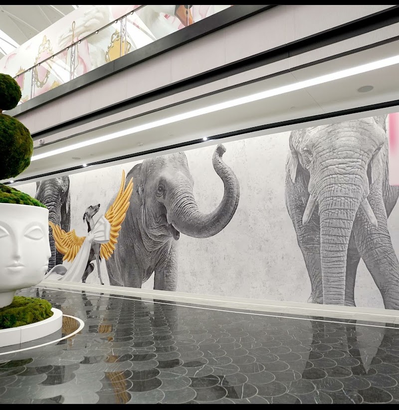 Vehicle wrap by Big Wraps