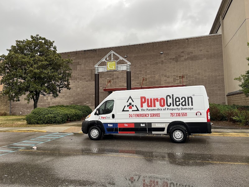 Paint Protection Film Work