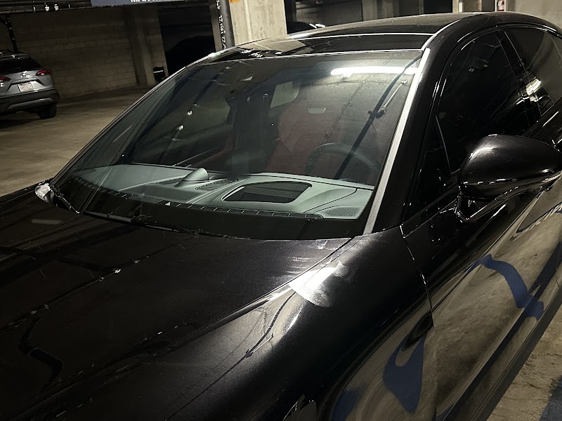 Paint Protection Film Work