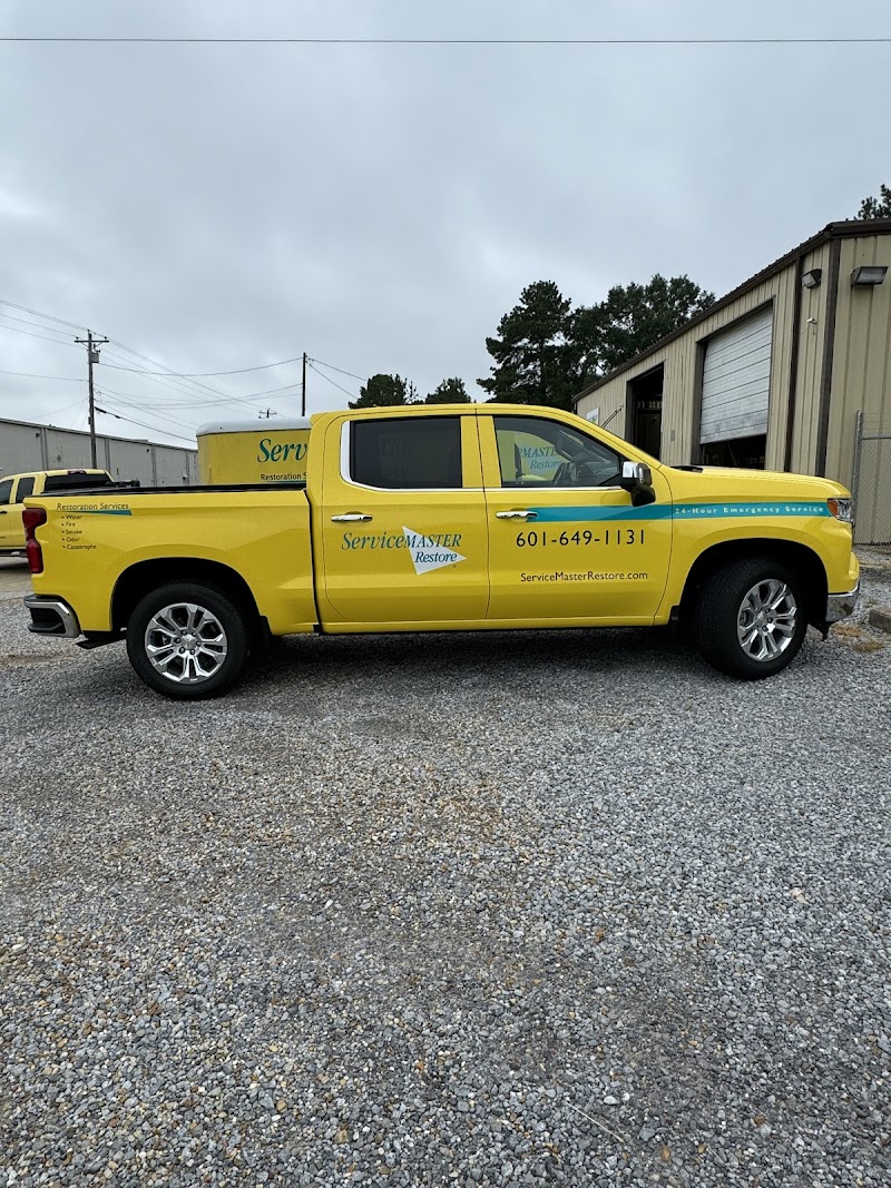 Paint Protection Film Work