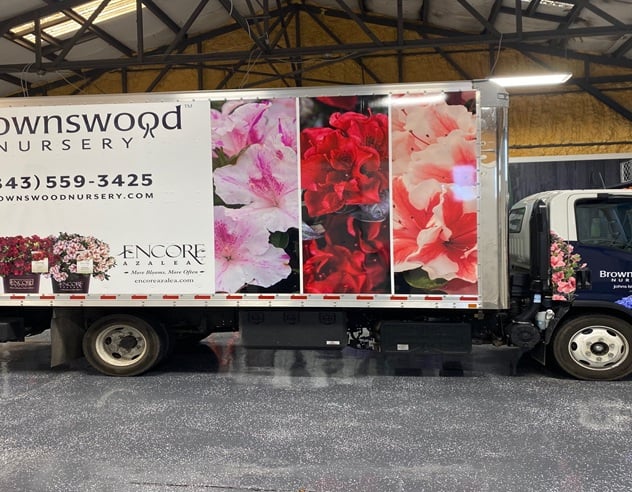 Paint Protection Film Work