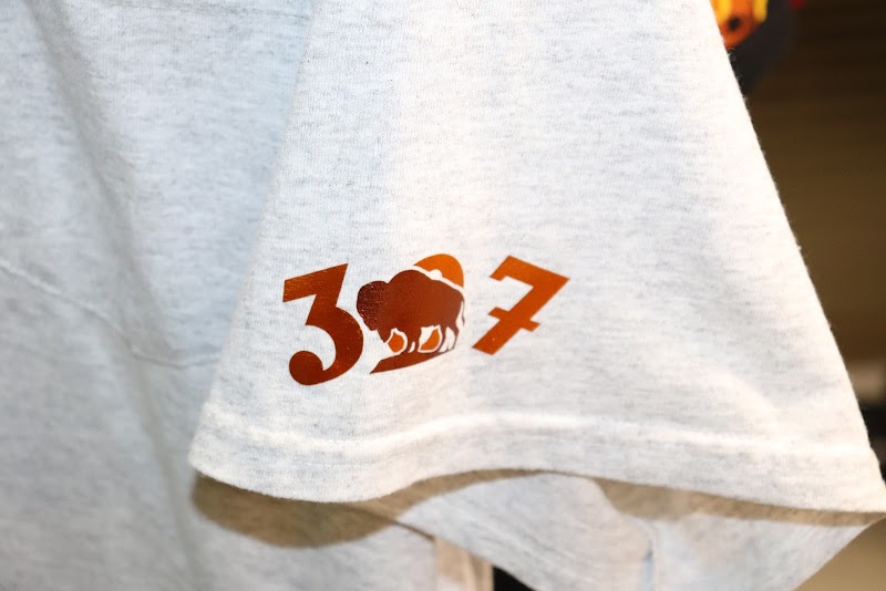 Paint Protection Film Work