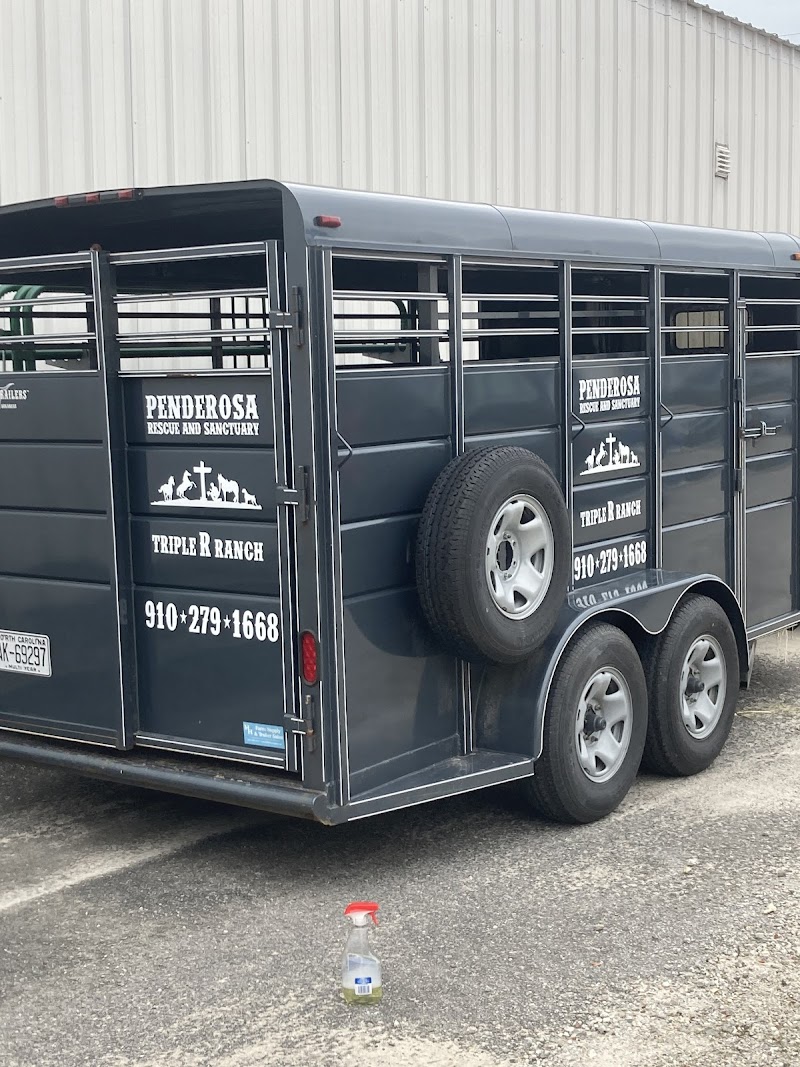 Vehicle wrap by Signarama Wilmington Nc