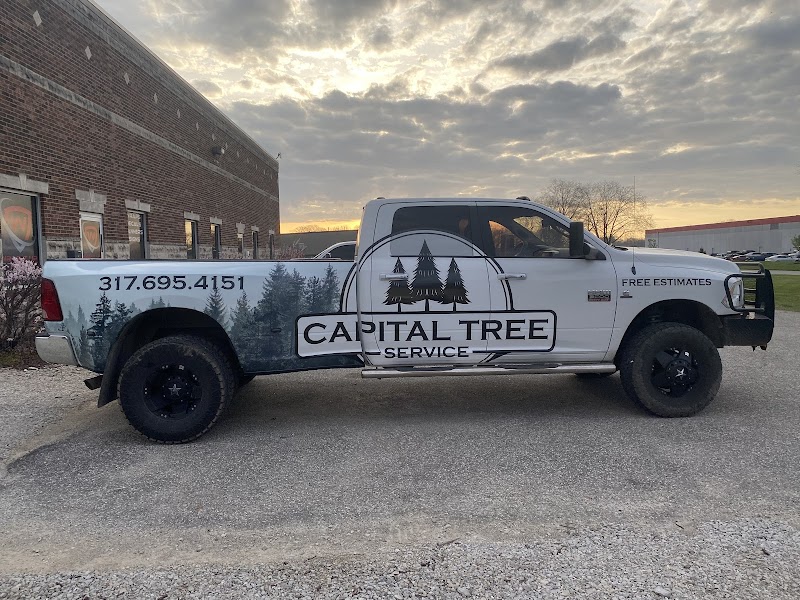 Vehicle wrap by Wrap It Up