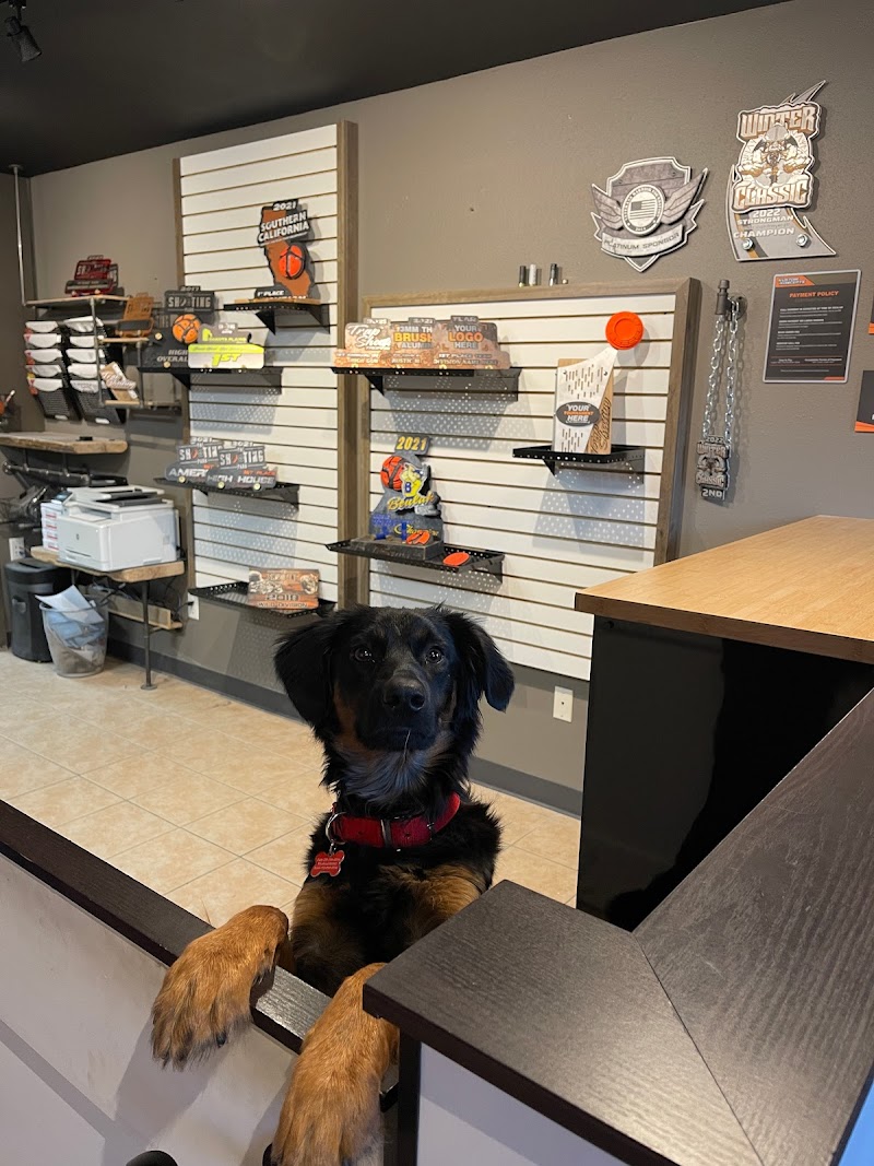 Full Color Change Work